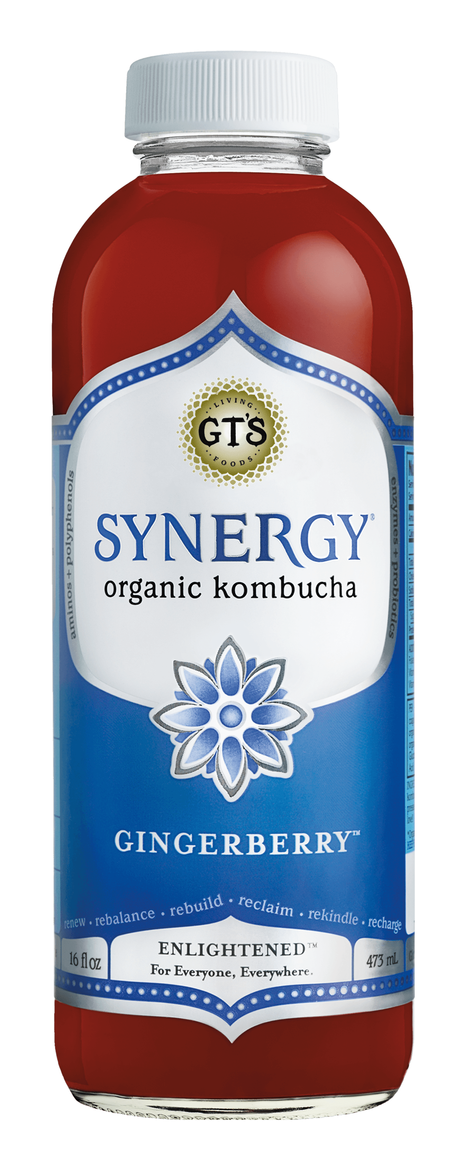 GTs Enlightened Synergy Organic and Raw Kombucha Gingerberry, 16 Ounce