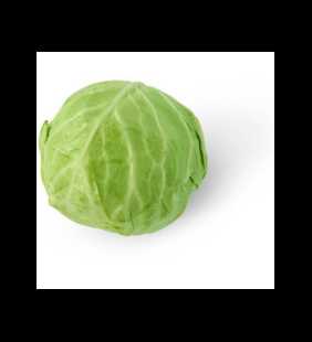 Green Cabbage, Head
