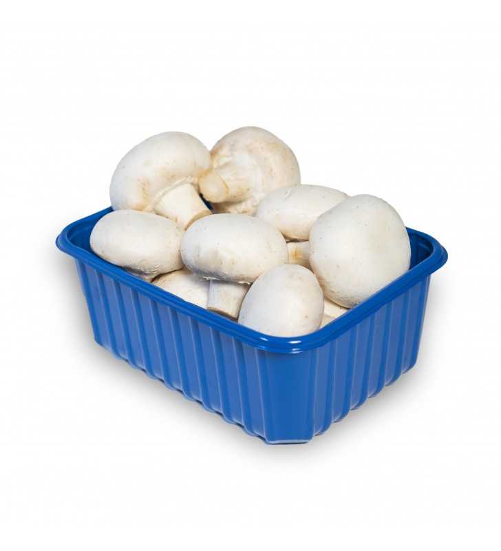 Whole White Mushrooms, 16 oz