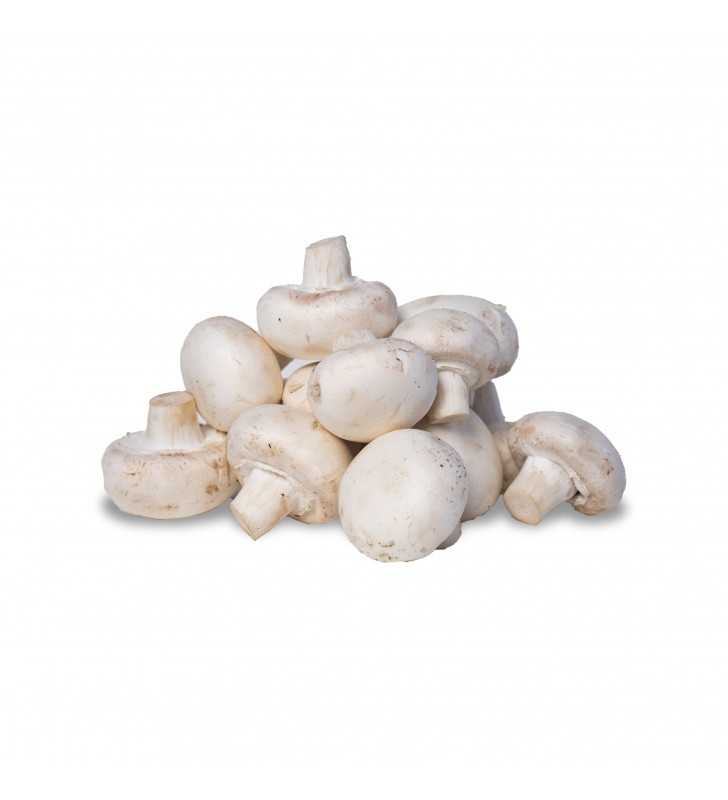 Whole White Mushrooms, 16 oz