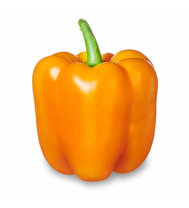 Orange Bell Pepper, 1 Each