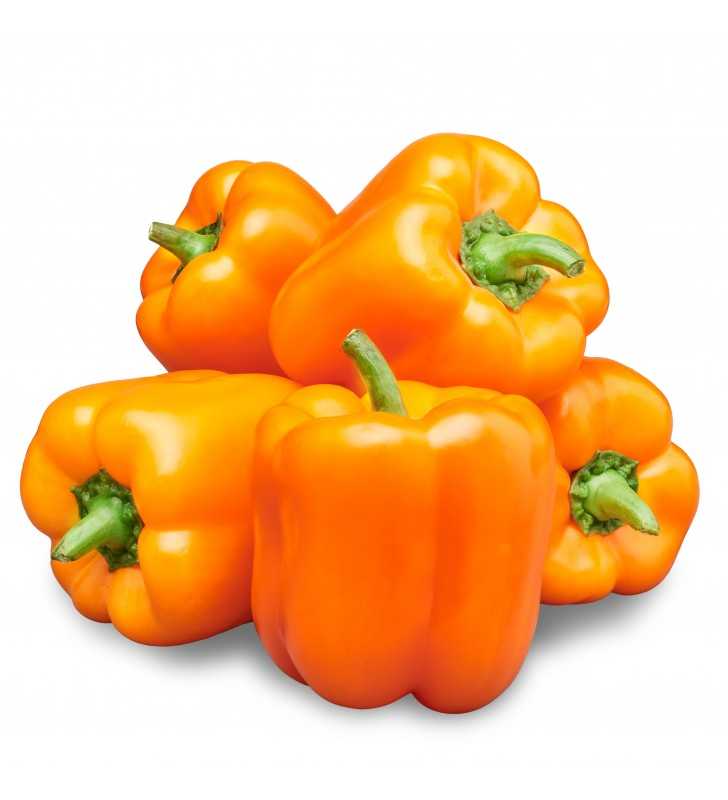 Orange Bell Pepper, 1 Each
