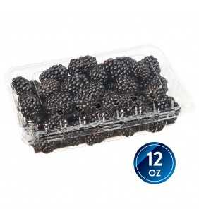 Fresh Blackberries, 12 oz