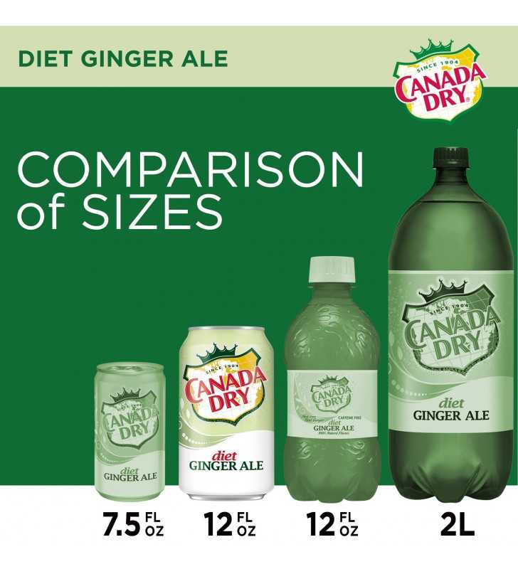 Diet Canada Dry Ginger Ale, 12 fl oz cans, 12 pack